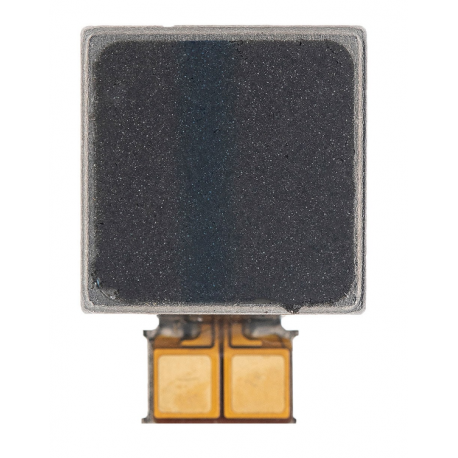 Vibreur Samsung Galaxy S21 Ultra