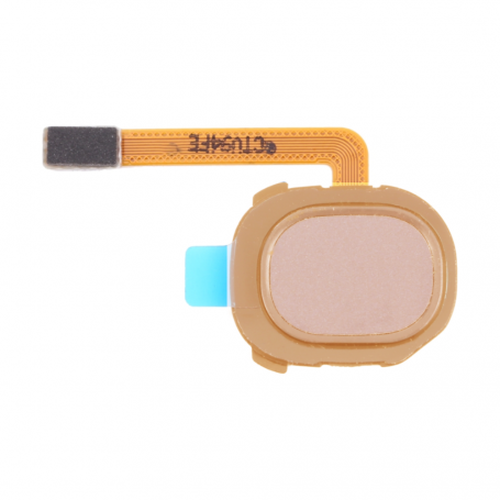 Lecteur d'Empreintes Samsung Galaxy A20 Or