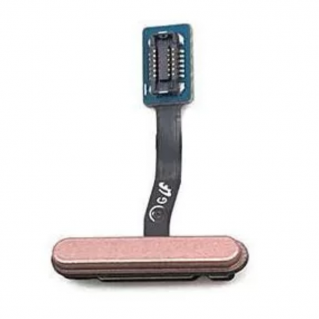 Nappe Lecteur d'Empreintes Samsung Galaxy S10E Rose