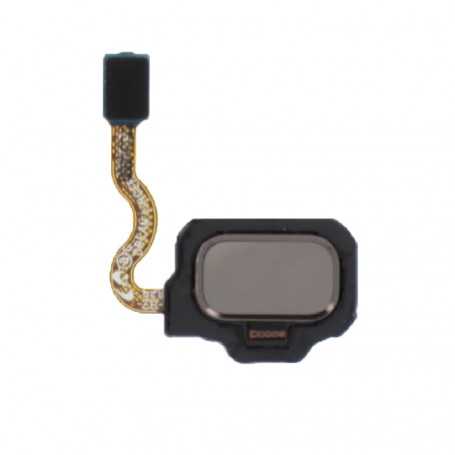 Nappe Lecteur d'Empreintes Samsung Galaxy S8 / S8 Plus Or