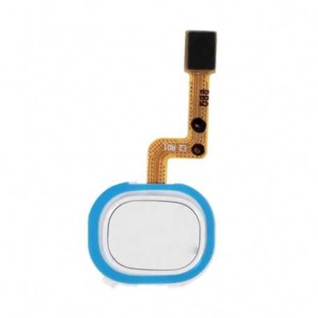 Lecteur d'Empreintes Samsung Galaxy A21s Rougue